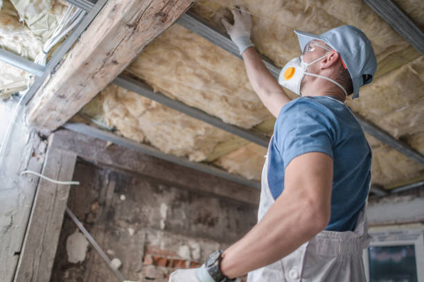 Best Best Insulation Companies  in Colby, WI