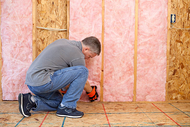 Best Insulation Removal  in Colby, WI