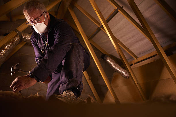 Best Insulation Removal Services  in Colby, WI